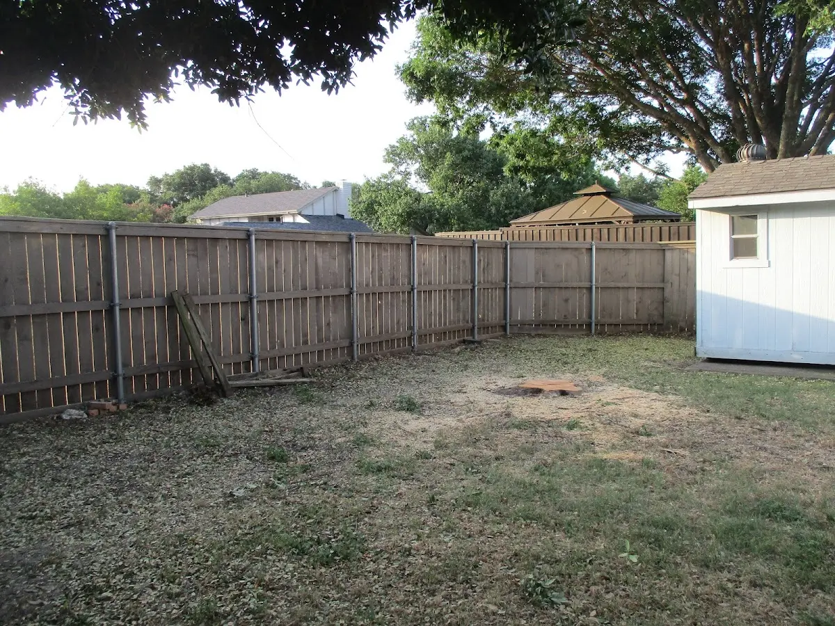 Cleared yard after professional tree removal in Lake Alfred